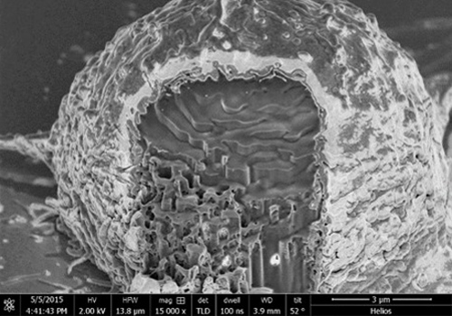 自動化智慧生物實驗室：從藥物探索到先進體外模型與分析