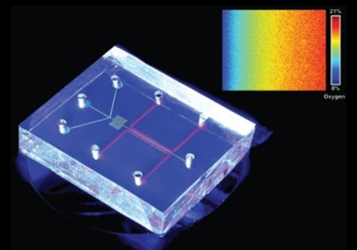跨尺度多模組生醫影像技術發展與應用