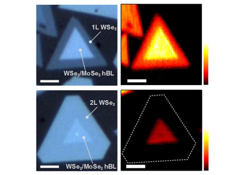 二維材料之電子與光電元件技術開發